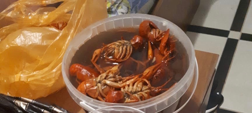 Варёные раки 🦞🦞🦞ммм