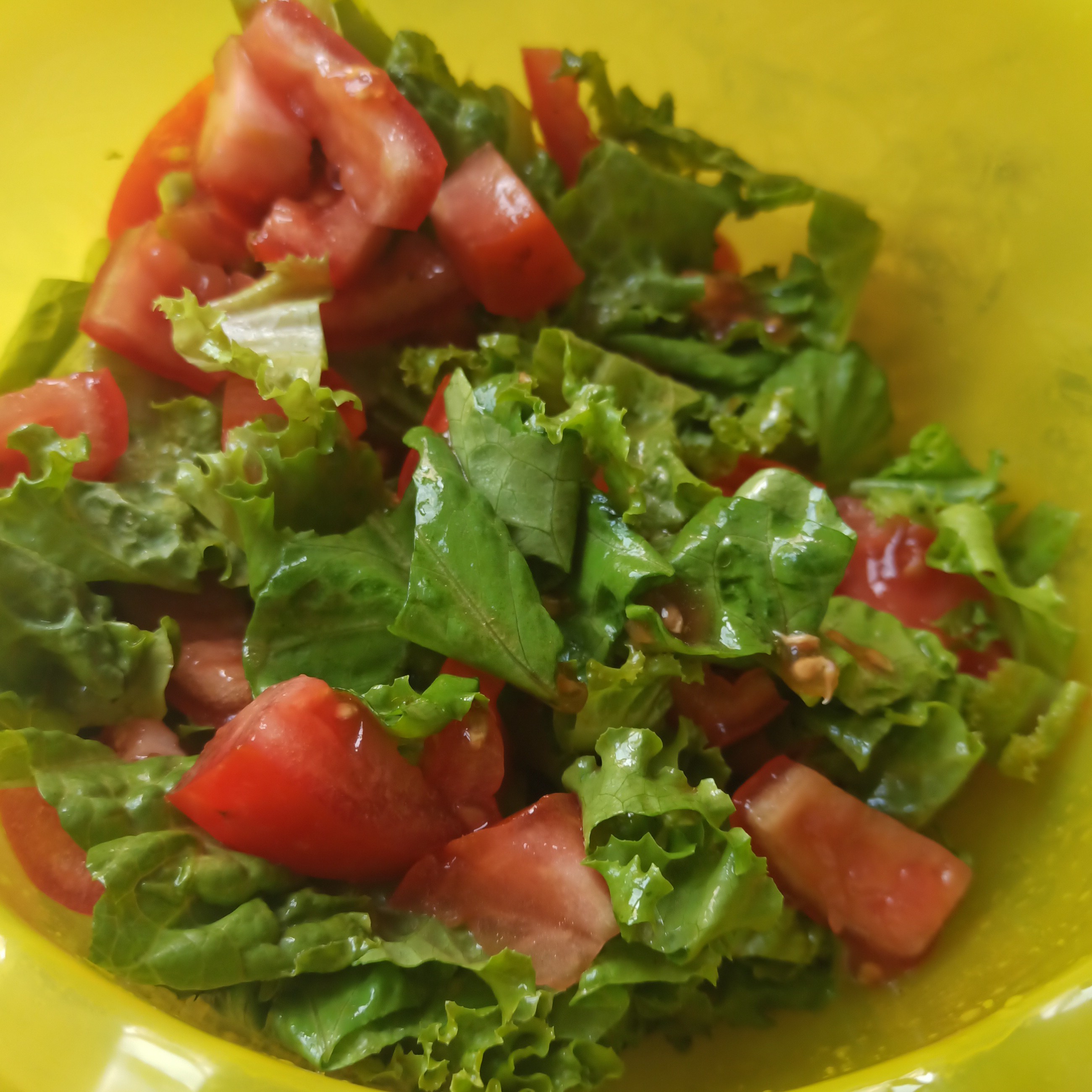 Летний салат (листья салата с помидорами)