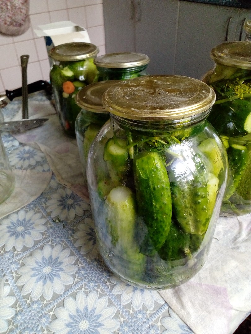 Маринованные огурцы. 🥒🥒🥒🥒🥒🥒🥒🥒🥒