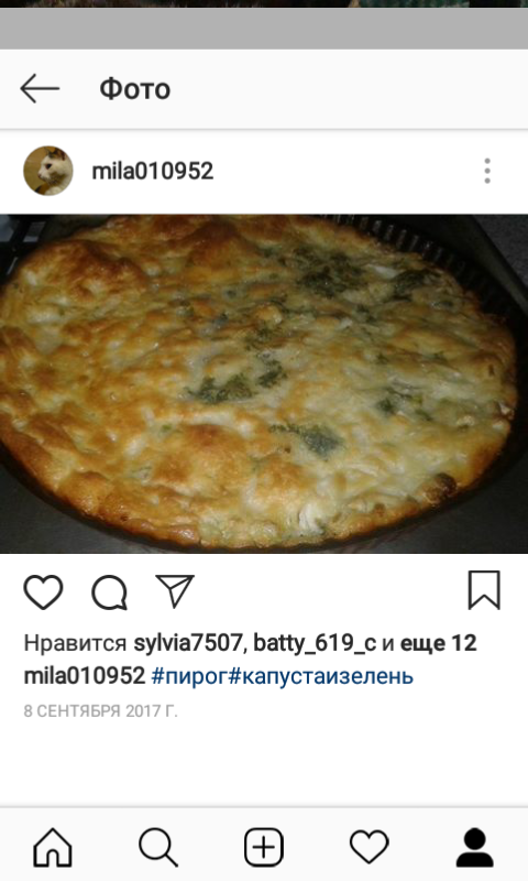 Пирог из индейки с зелёным луком и сыром