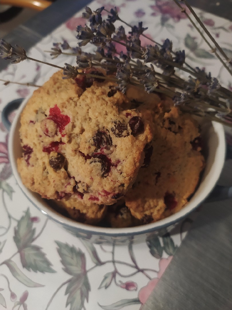 Овсяное печенье с клюквой и изюмом