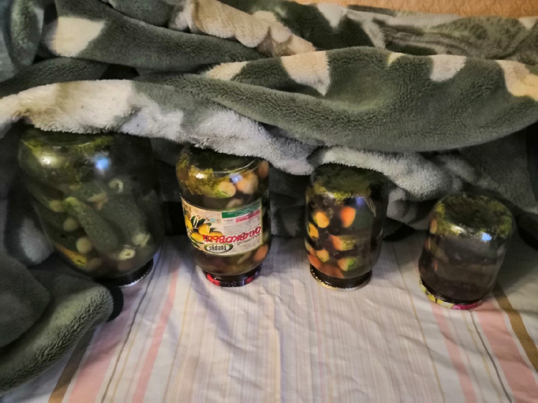 Солёные огурцы с мёдом и смородиной чёрной