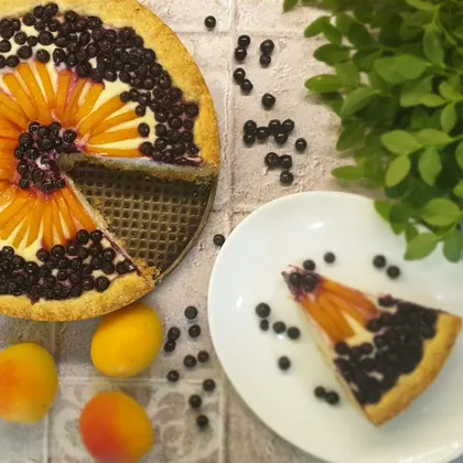 Песочный пирог с творогом, абрикосами и черникой