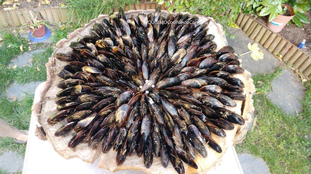 Запеченные мидии (Eclade de moules)