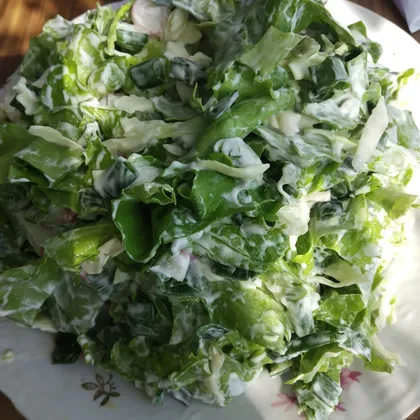 Салат из зелени с редиской