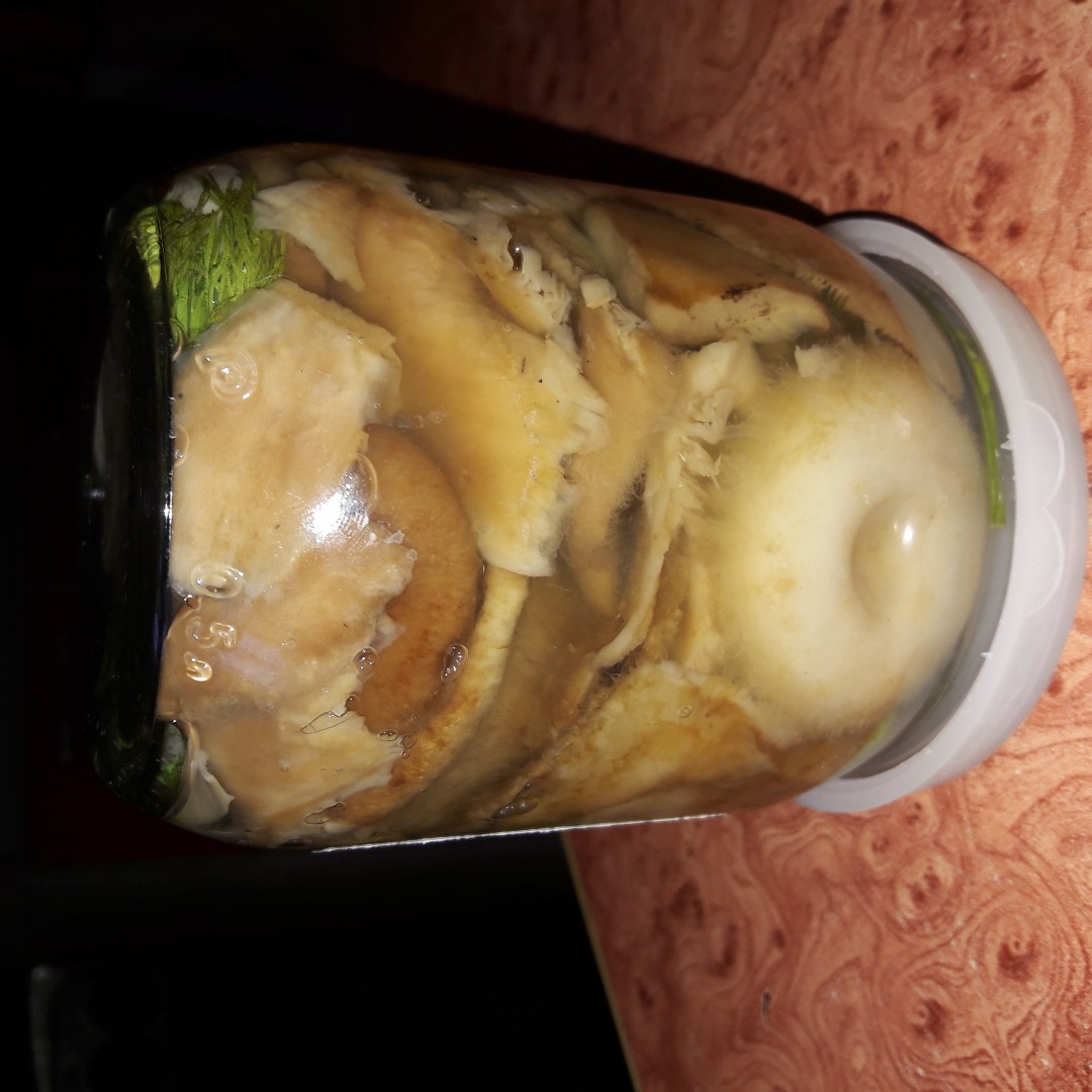 Грузди солёные (горячий способ)