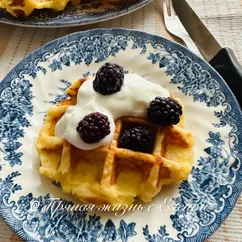 ПП творожные вафли 