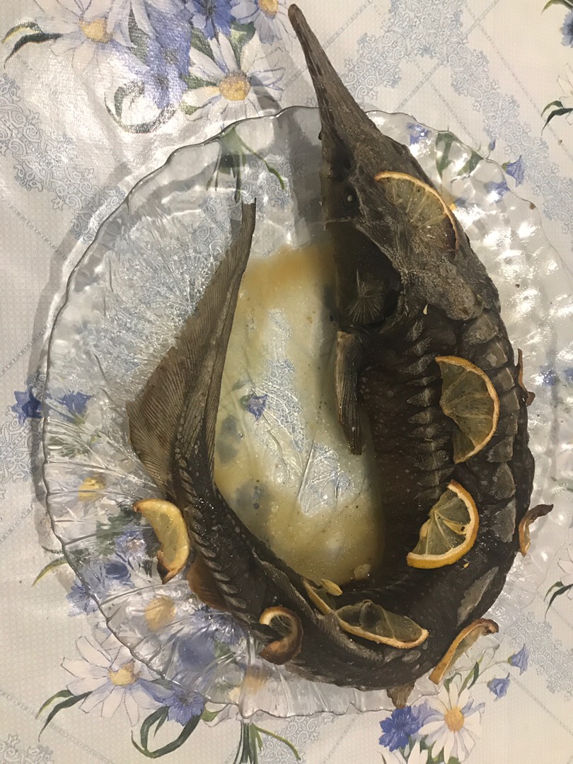 Стерлядь в духовке