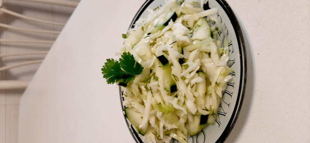 Салат из свежей капусты с огурцом - рецепт с фото, очень вкусный