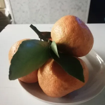 Мандарины на ветке