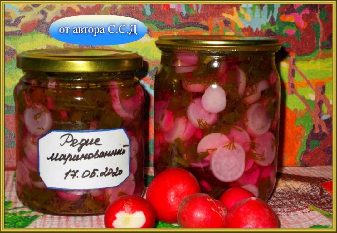 Маринованный редис