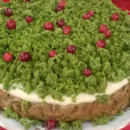 Торт "Лесной мох" для худеющих и диабетиков