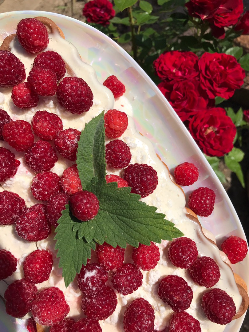 Торт без выпечки 🍰