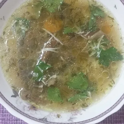 Суп из белых сушенных грибов с сыром, чесноком и петрушкой