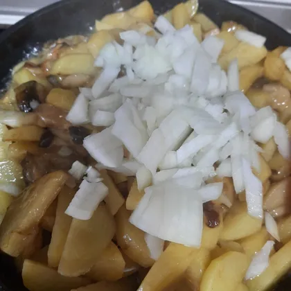 Жареная картошка с белыми грибами и луком