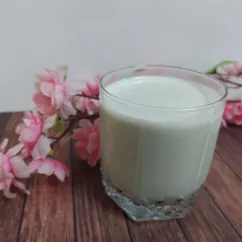 Молоко из тыквенных семечек