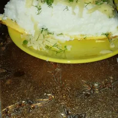 Пуляр