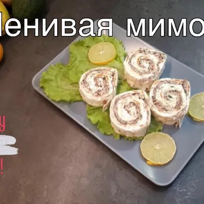 Ленивая мимоза