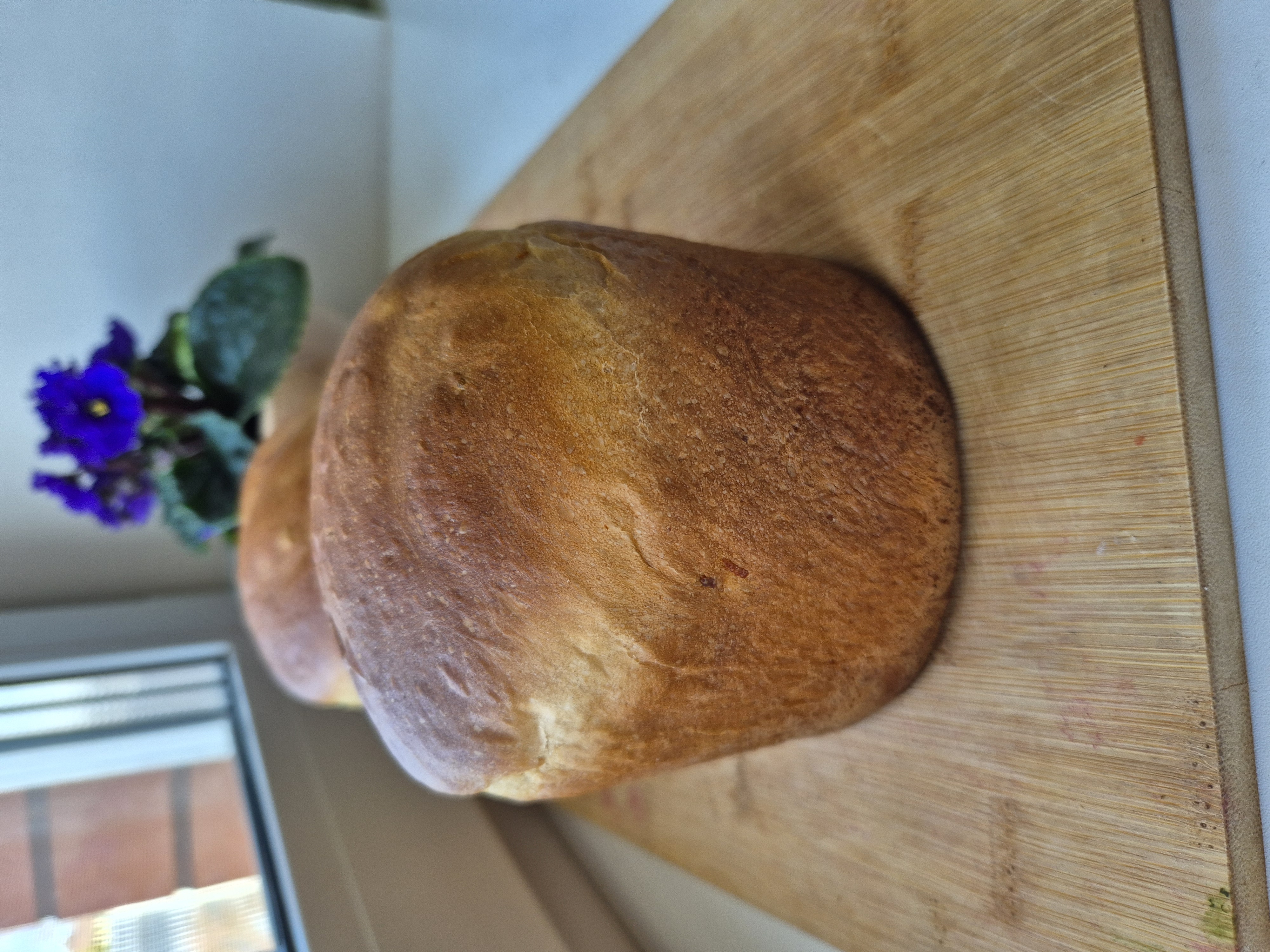 Ленивый кулич без (долгого) замеса теста