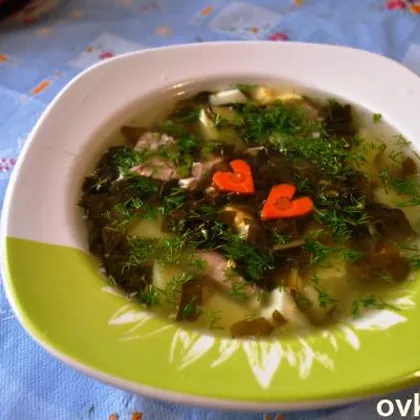 Щавелевый суп с индейкой на прозрачном бульоне
