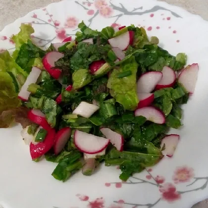 Салат из редиса с крапивой и зеленью