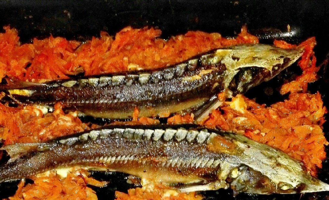 Стерлядь в духовке: как приготовить целиком, рецепты запеченной рыбы, фото