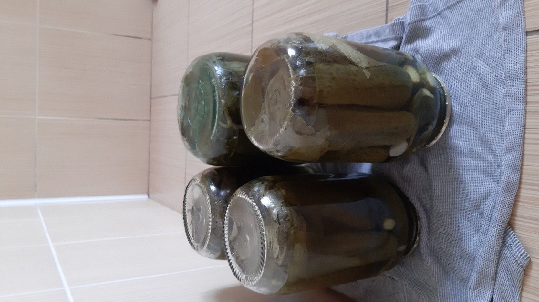 Маринованные огурцы 1+1
