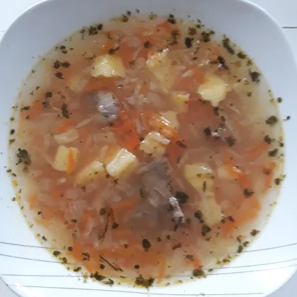 Овощной суп на бульоне из кролика с потрошками