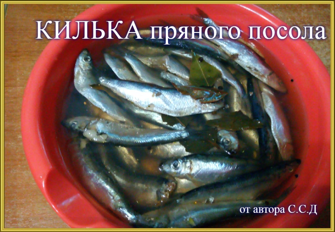 🐟Килька пряного посола в домашних условиях