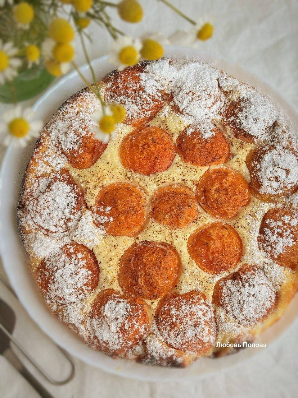 Пай с творожной начинкой и абрикосами
