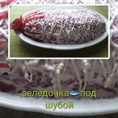 Селёдочка под шубой