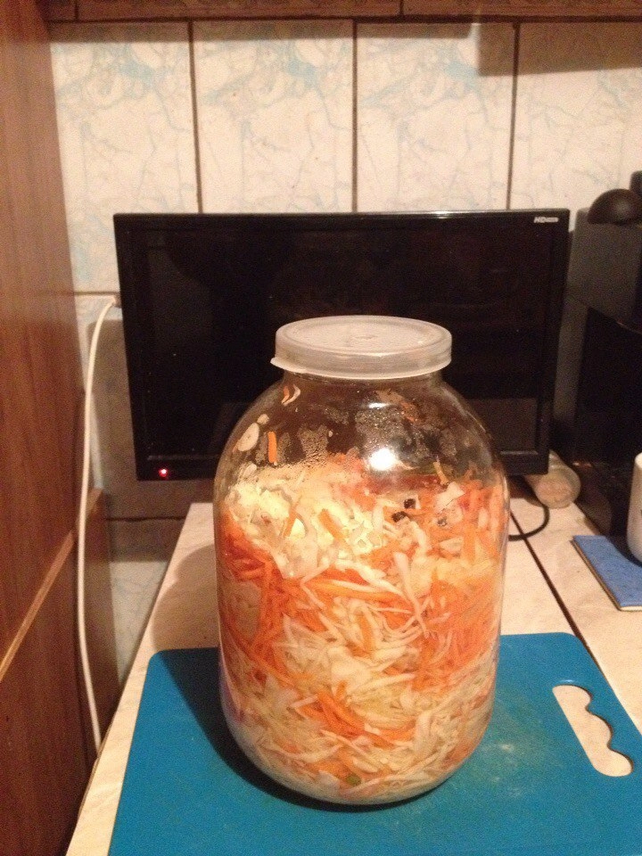 Капуста быстрого посола