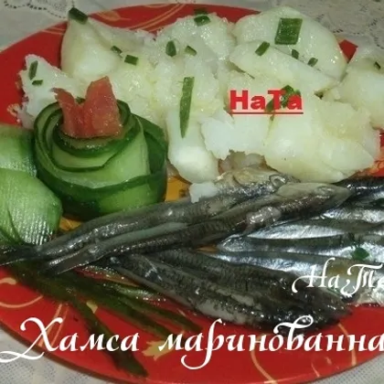 Хамса маринованная