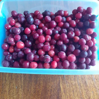 Замороженная вишня 🍒