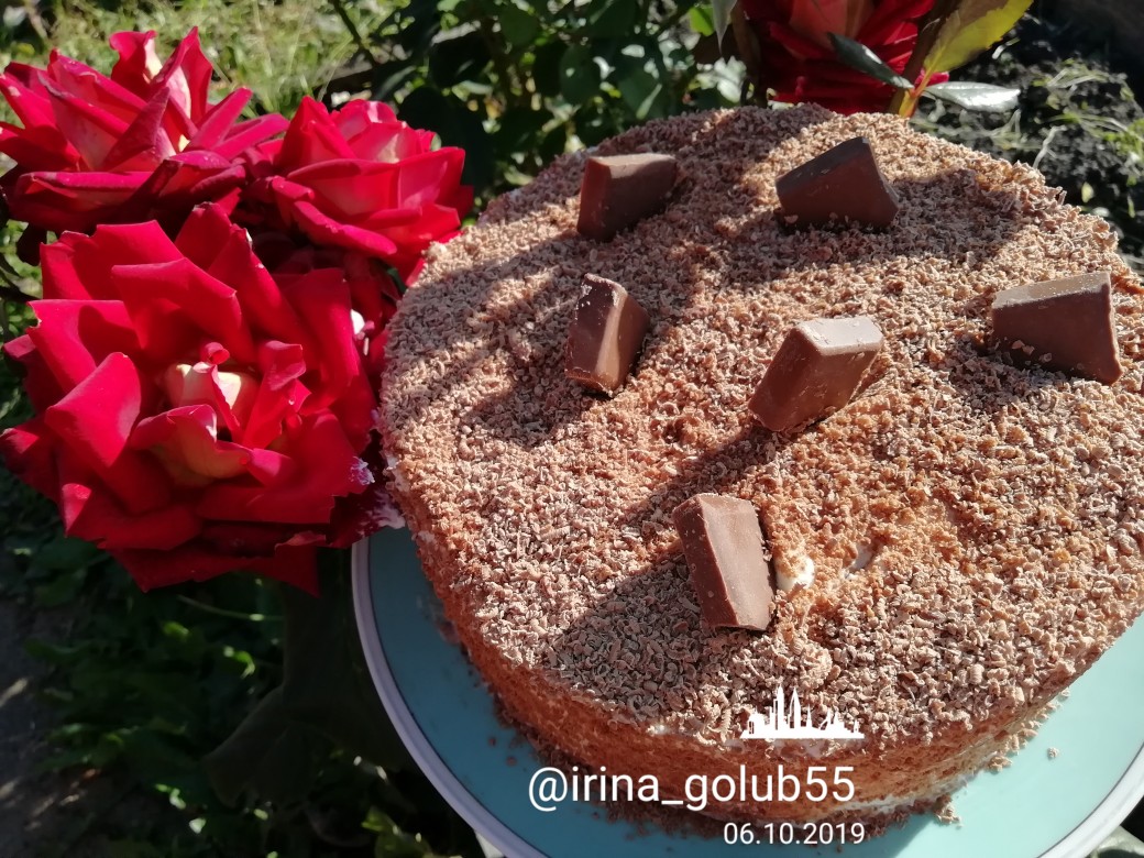 Торт «Шоколадная девочка» — рецепт с фото пошагово