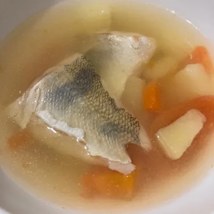 Рыбный суп из судака детям