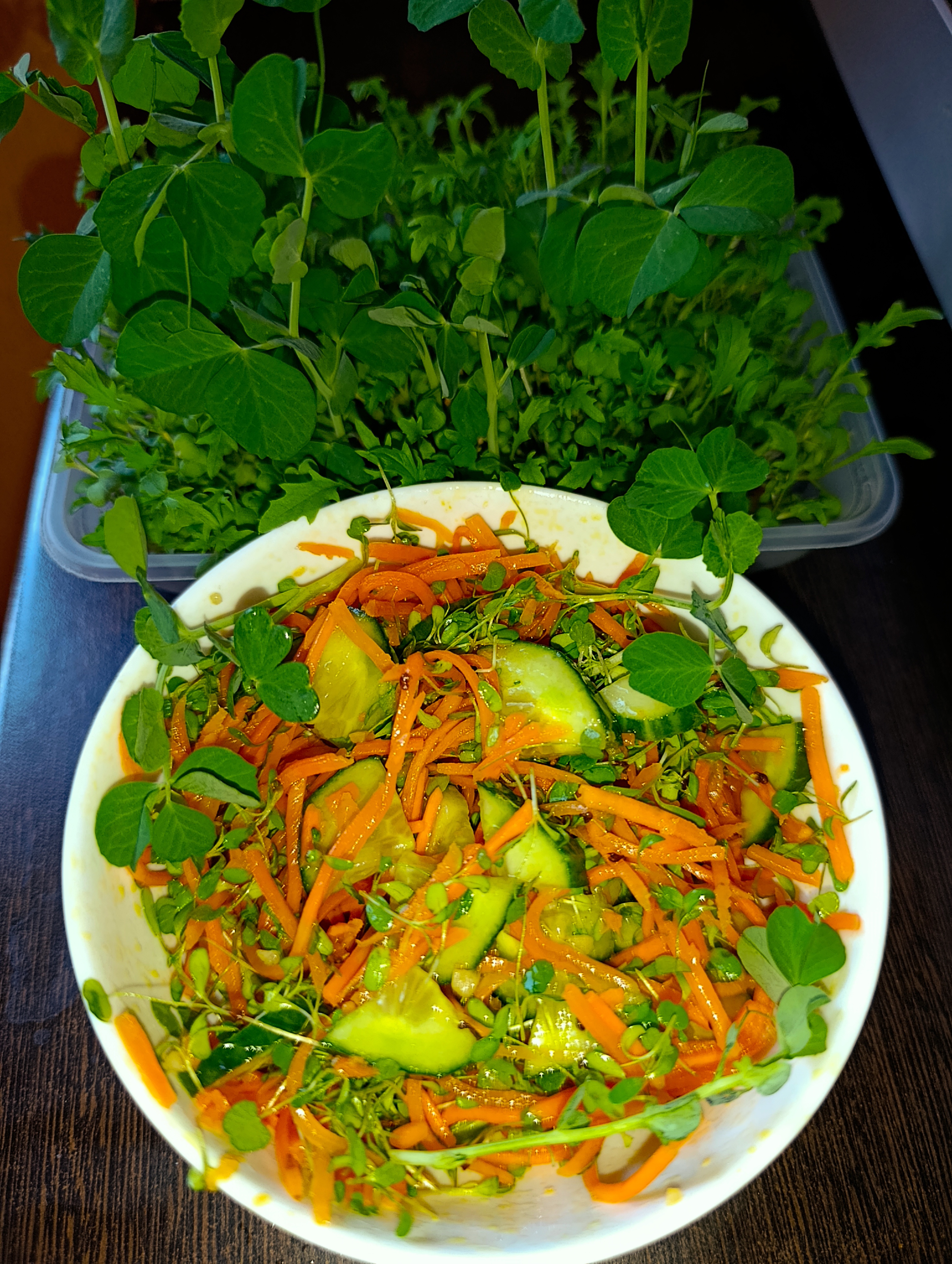 Постный салат с микрозеленью, огурцом и корейской морковкой