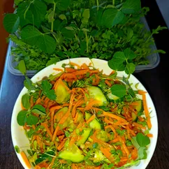 Постный салат с микрозеленью, огурцом и корейской морковкой
