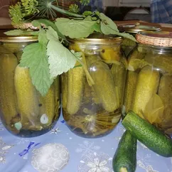 Огурцы молоденовские