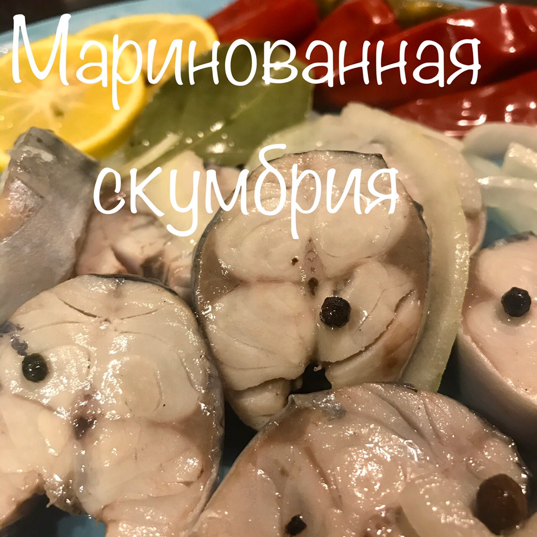 11 способов быстро и вкусно засолить скумбрию в домашних условиях