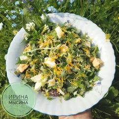 Салат Дачный из сныти, щавеля и одуванчиков 