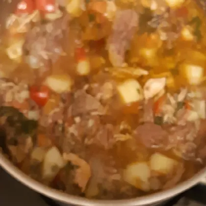 Густой суп с говядиной, баклажаном и овощами