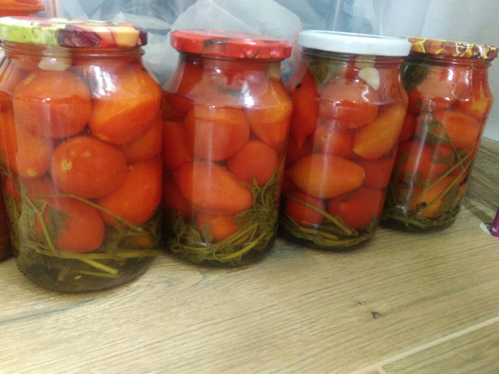 Помидоры с морковной ботвой