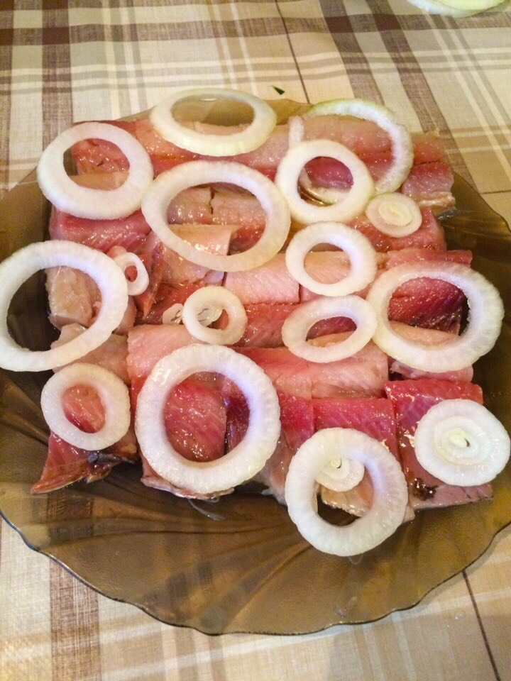 Малосольная сельдь