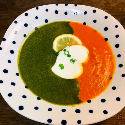 Овощной суп красного и зелёного цвета