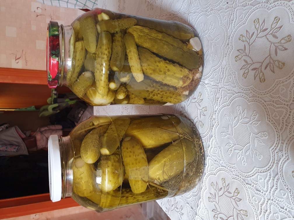 Солёные огурцы на зиму🥒🤤