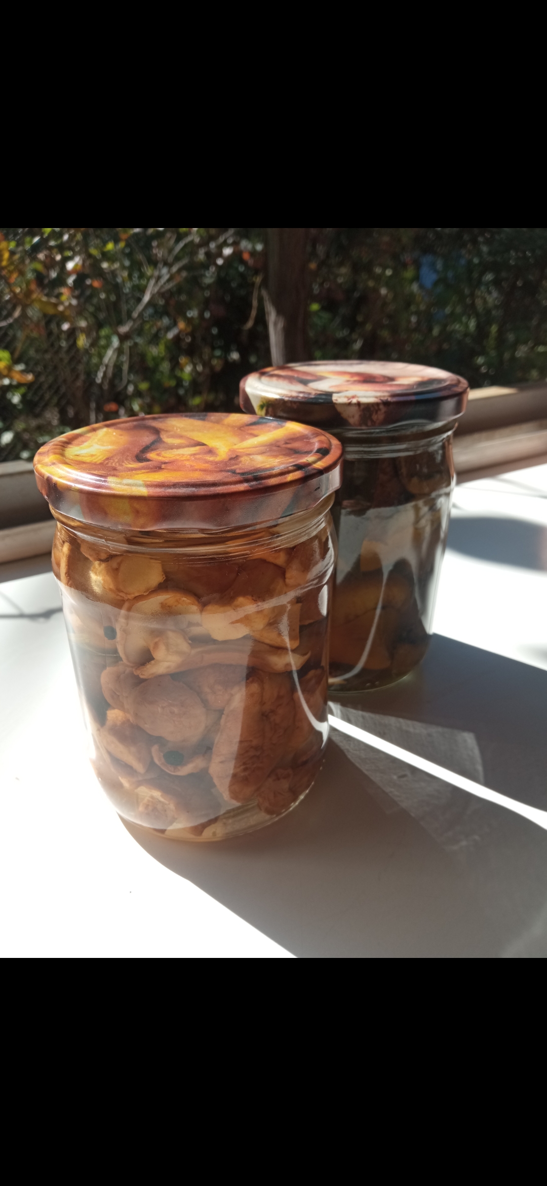 Ежовики маринованные  