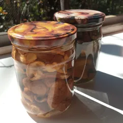 Ежовики маринованные  