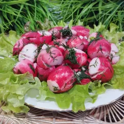 Маринованная редиска