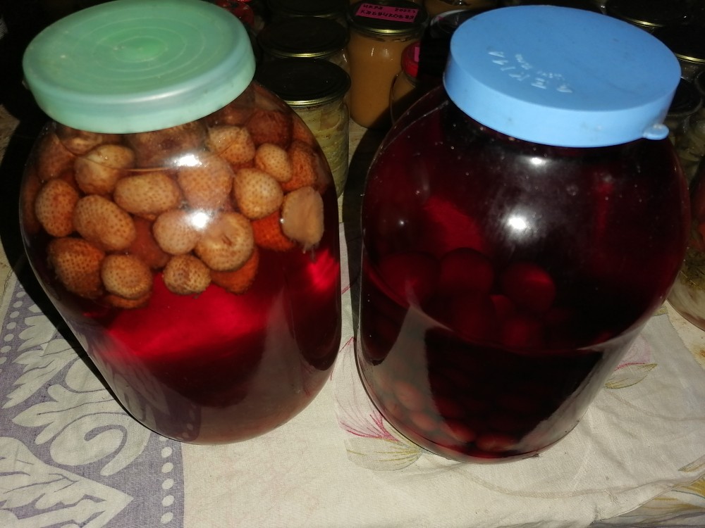 Настойки🍷ягодные